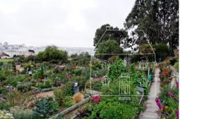 hassle free, land sale, garden plot